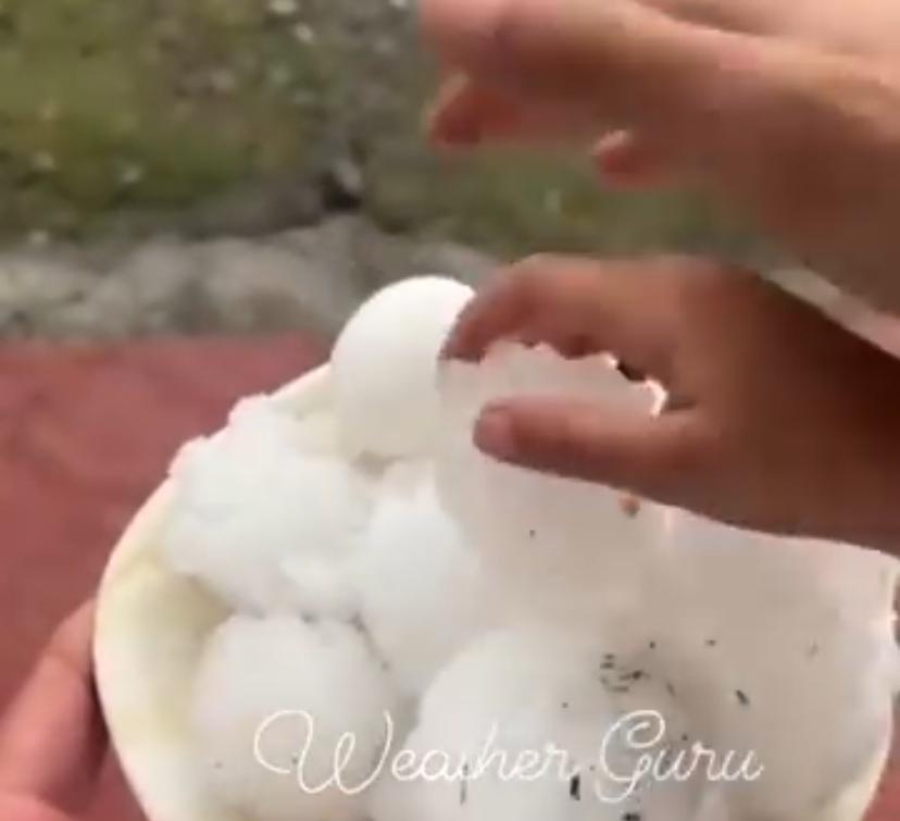 A hand holding a dish of hailstones; the photograph bears a Weather Guru watermark.
